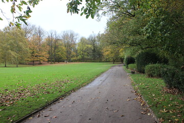 Fototapeta na wymiar Panorama im Park 2