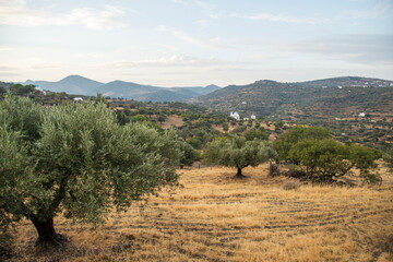 landscape on Sifnos island, Cyclades, Greece