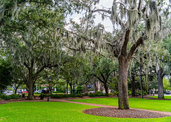 Beautiful streets and homes in downtown Savannah, Georgia, USA