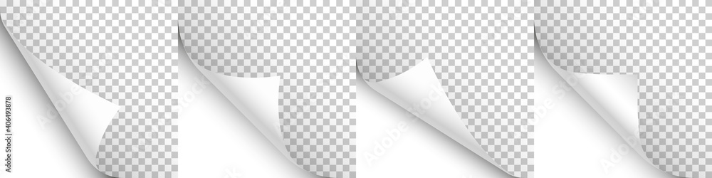 Wall mural set of white paper curls. curled page corner with shadow. blank sheet of paper. design element for a
