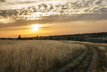 Fototapeta premium Empty road in countryside field leading to forest of trees on background of colorful sunset sky and clouds