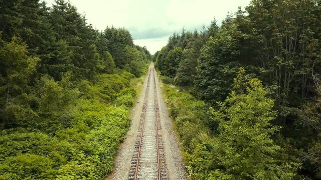 A drone view flying above abandoned railway tracks looking forward between the forest trees.