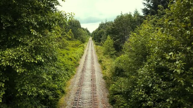 Drone view through the trees flying along abandoned railway.