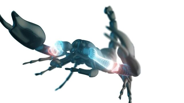 scorpion in isolated white background with close up camera animation and particles 4k. High quality 4k footage
