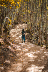 Fototapeta premium Woman Hiking Through A Dense Forest, outdoor therapy