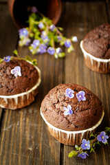 chocolate cupcake with black background and blue spring flowers