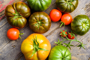 Fresh ripe and green tomatoes, different varieties just picked up on the plant. Food background