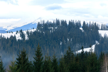 Winter tranquil stretched mountain landscape and the Carpathian mountain range behind.