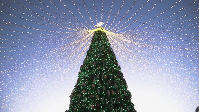 A beautiful, green Christmas tree on the main city square, decorated with garlands and glowing lights, toys for the New Year and Christmas holidays. In the afternoon, twilight.