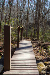 Bridge on the hiking path in the woods in winter