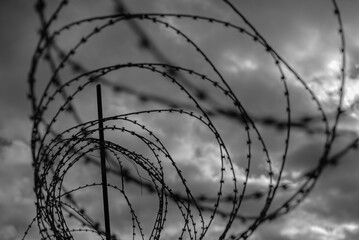 barbed wire against the sky