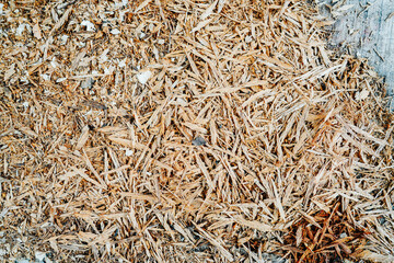 Small pile of old and fresh wood shavings on a concrete surface. High angle shot.