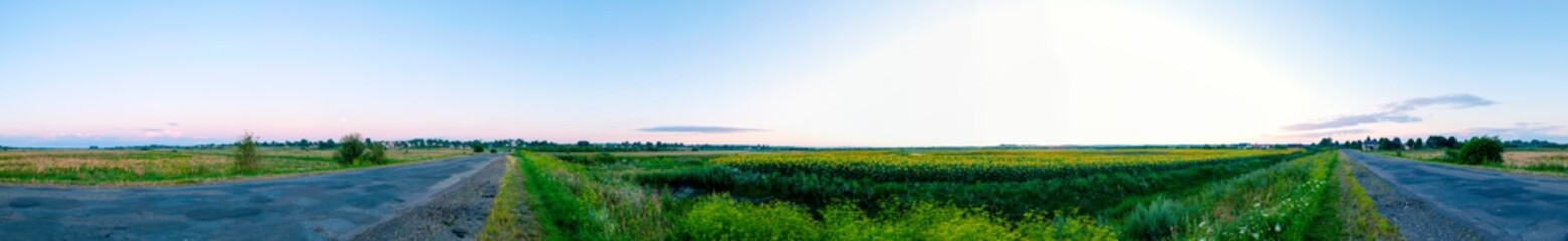 Obraz premium Sunflower field in the afternoon. Panorama of beautiful nature landscape. Farm field idyllic scene