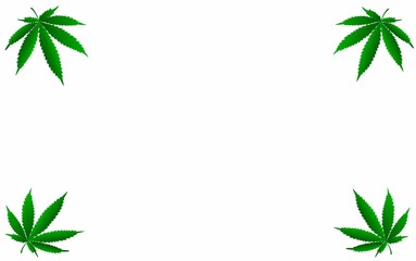 Blank for designers with copy spice with marijuana leaves on a white background.