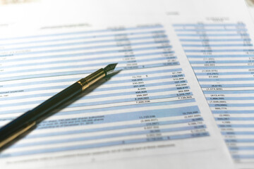 Income statement in stockholder report book. Accounting and financial report analysis.