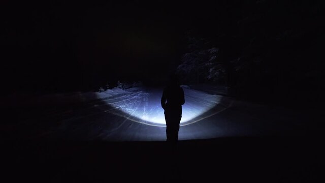 A girl walks alone in the winter through the forest at night, with a flashlight in her hands