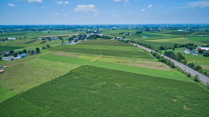Fototapeta na wymiar Aerial View for Rows of Corn Growing and Farms under a Beautiful Summer Sky