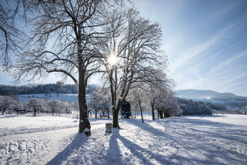 Fototapeta na wymiar Kirchzarten mit Schnee im Winter am Giersberg