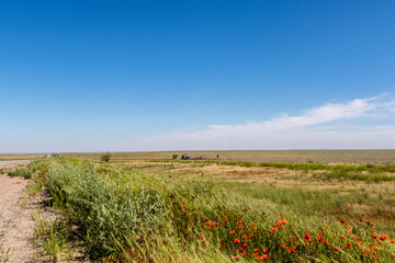 Wide grassland landscape of Kazakhstan, Central Asia