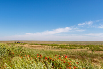 Wide grassland landscape of Kazakhstan, Central Asia