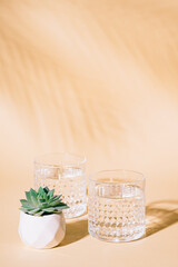 Glass of water on pastel background with tropical palm leaf shadow and succulent plant