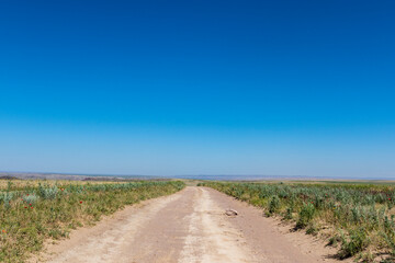 Fototapeta na wymiar Wide grassland landscape of Kazakhstan, Central Asia