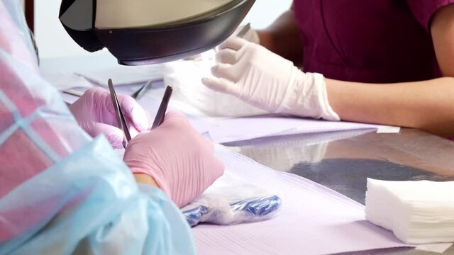 Two nurses working to prepare hair cell cultures using forceps, medical instruments
