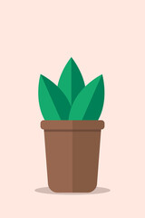 Simple plant with green leaves in brown pot. cozy home, interior details, naturalness
