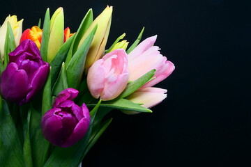 Obraz na płótnie Canvas pink tulips on black background