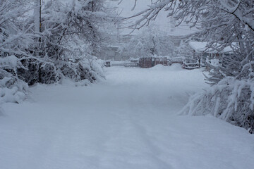 snow covered bridge. snowy way in winter.