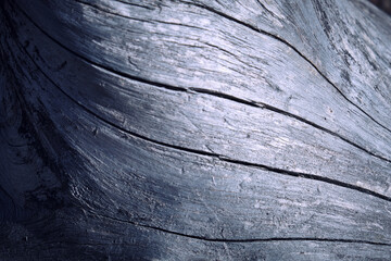 organic lines texture over a wood trunk