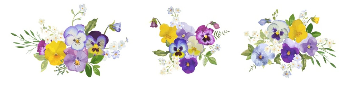 Watercolor pansy flowers bouquet collection. Vector viola spring floral set illustration. Summer bloom
