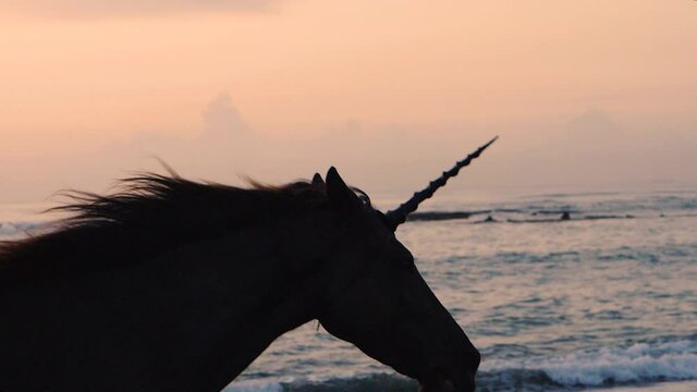 Silhouette of mythical creature with spiraling horn galloping on beach, slowmo