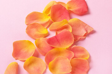 gentle blurred background of rose petals on a pink background. Card with flower petals

