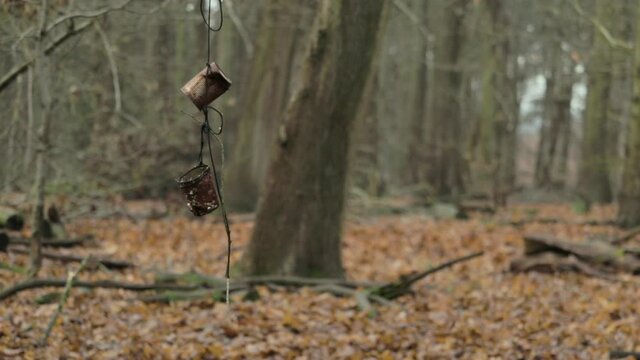 A slow pan up of some cans hanging from a wire in a large and mysterious woods.