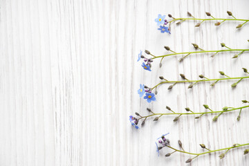 Five forget-me-not flowers on a light wooden background. Floral background for wedding, celebration, women's day or mother's day, flat lay, copy space.