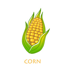 corncob vector illustration isolated on white background