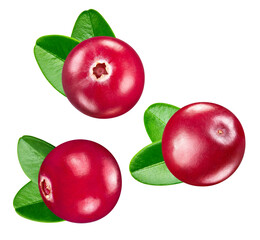 Cranberry isolated on white background