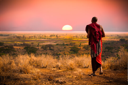 Massai man， wearing traditional blankets， overlooks Serengeti in Tanzania