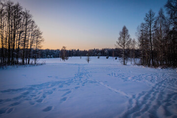 winter forest in the rays of rising sun at mountain covered by snow 