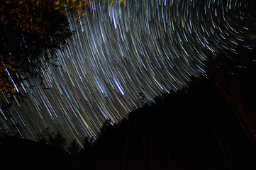 Star trails in the night sky in the forest
