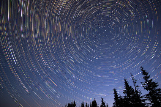 Star trails in the night sky in the forest