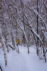 Winter landscape during a heavy snowfall