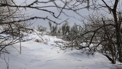 neige et givre sur le chaîne des Puys