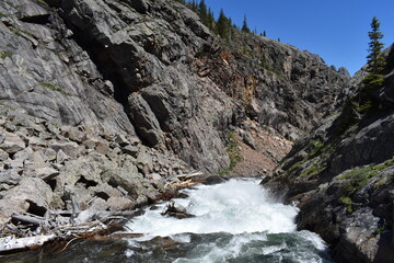 Obraz premium Mountain Stream Absaroka Beartooth Wilderness Montana 2017