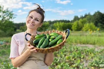 Smiling mature woman with basket of fresh plucked cucumbers