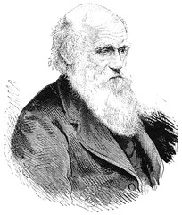 Portrait of Charles Robert Darwin - an English naturalist, geologist and biologist, best known for his contributions to the science of evolution. Illustration of the 19th century. White background. - obrazy, fototapety, plakaty