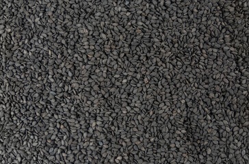 Black Sesame seeds background. Spices and food ingredients.