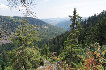 Frankreich - Vogesen - Col de la Schlucht - Felsensteig