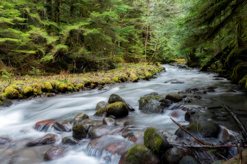 Little Zigzag Creek Near Rhododendron, Oregon, Taken in Winter